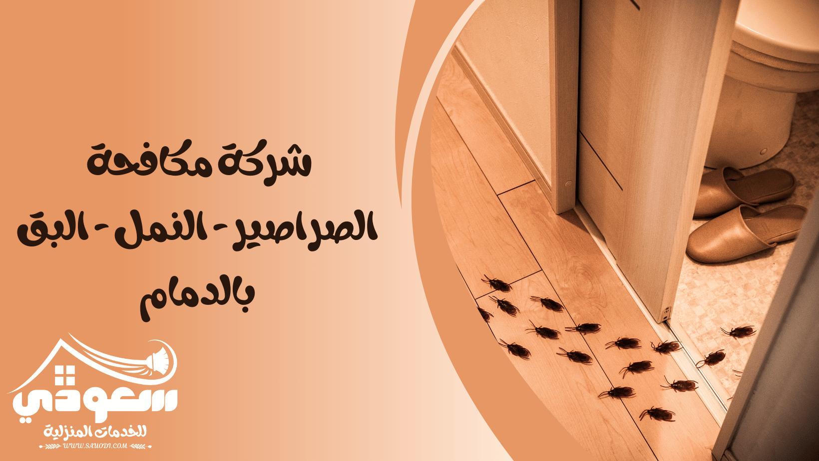 شركة مكافحة الصراصير والنمل والبق بالدمام
